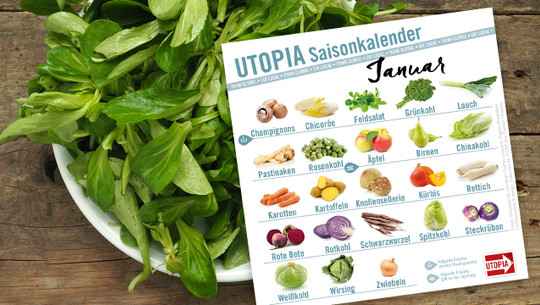 saisonkalender-januar-utopia-cpb-200107-1280x720 Utopia Saisonkalender Januar