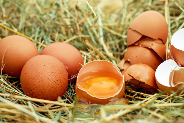 Not only eggs contain choline.