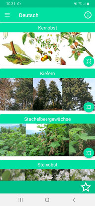 die-app-baeume-bestimmen-baumbestimmung-screenshot-chantal-gilbrichutopia-200212_download Die App "Bäume bestimmen - Baumbestimmung"