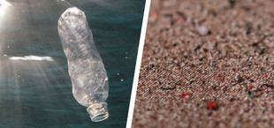 Neue Erkenntnisse: Wie schädlich ist Mikroplastik für Mensch und Umwelt?