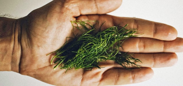 Plant-Points-Empfehlung: 30 Pflanzen pro Woche essen