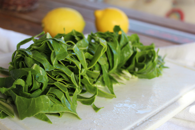 fuer-die-vorbereitung-solltest-du-mangold-waschen-u-cc0--pixabay--7550376-250814_download Für die Vorbereitung solltest du Mangold waschen und kleinschneiden.