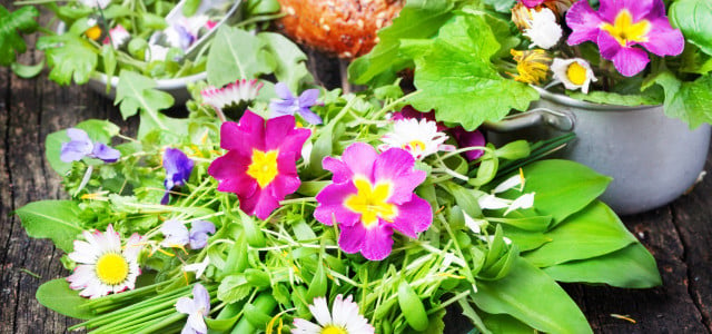 Edible Flowers: A must-have in your salad recipes