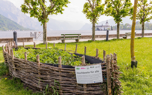 urban-farming-sieht-nicht-nur-huebsch-aus-sondern-cc0-pixabay-wohnblogat-181219 Urban Farming sieht nicht nur hübsch aus, sondern bringt auch Gemeinschaft.