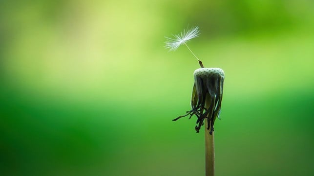 achtsamkeit-foerdert-akzeptanz-und-zuversicht-wic-cc0-pixabay-jplenio-220304_download Achtsamkeit fördert Akzeptanz und Zuversicht - wichtige Pfeiler für die eigene Resilienz.