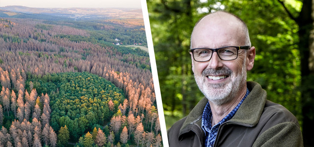 Peter Wohlleben zur Waldzustandserhebung
