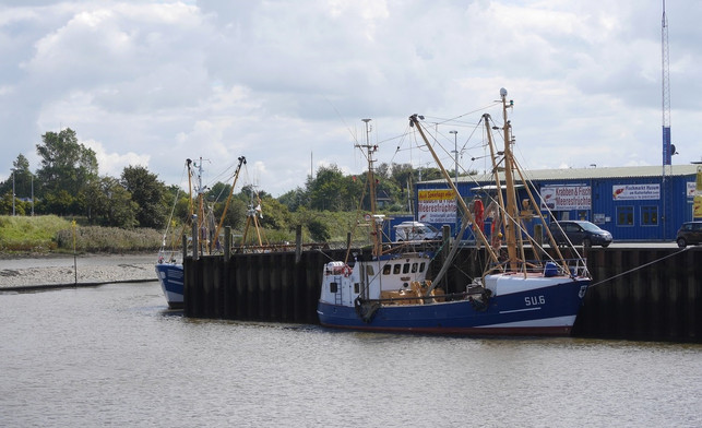nordsee-fischer-kabeljau-bestand-hat-sich-erholt-sven-christian-schulz-utopia-200213_download Eine Fischereireform der EU von 2013 soll die Überfischung verringern.