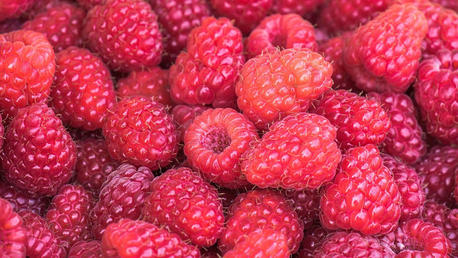 in-der-saison-kannst-du-mit-frischen-himbeeren-muf-cc0-pixabay-heidelbergerin-180919_download In der Saison kannst du mit frischen Himbeeren Muffins backen.