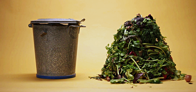 WormUp Kompost statt Biomüll in der Tonne