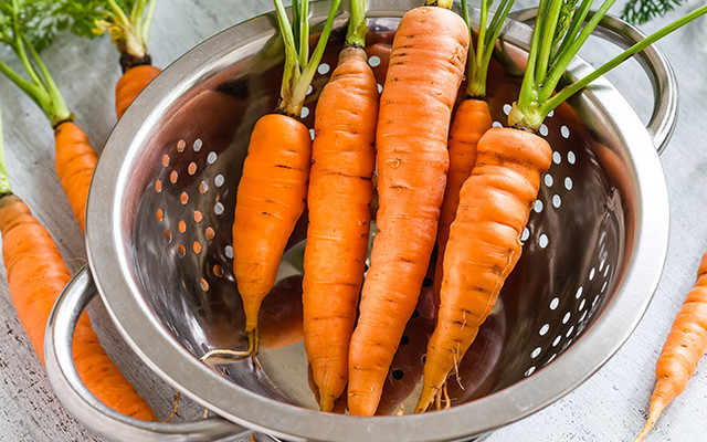 Möhren_7