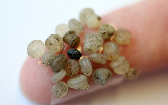 Microplastic particles on a index finger