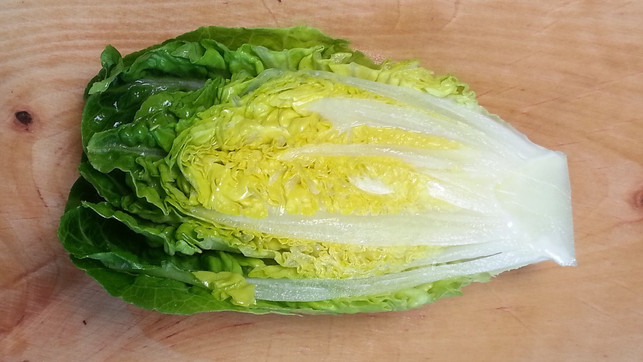 roemersalat-kannst-du-sowohl-roh-als-auch-gebraten-cc0-pixabay-chilidrache-200526_download Römersalat kannst du sowohl roh als auch gebraten, gedünstet oder gebacken als Beilage servieren.