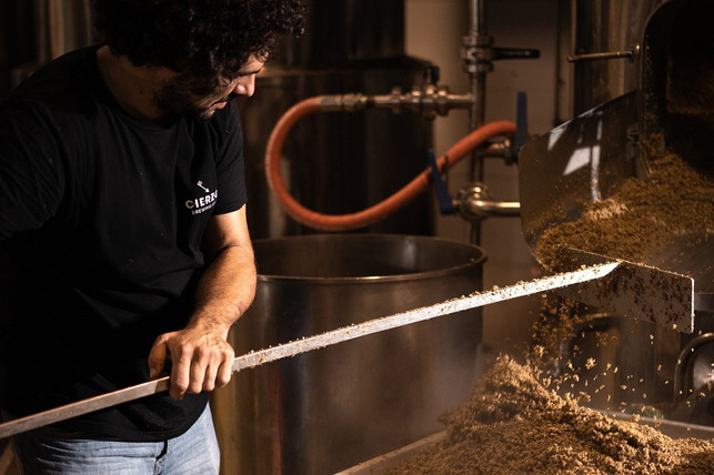reststoffe-aus-der-brauerei-koennen-zu-biogas-umgew-cc0-pixabay-cierzobrewing-241118_download Reststoffe aus der Brauerei können zu Biogas umgewandelt werden.