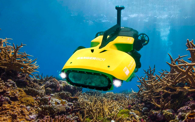 ki-nachhaltigkeit-ranger-z-1280x800 ki-nachhaltigkeit RangerBot