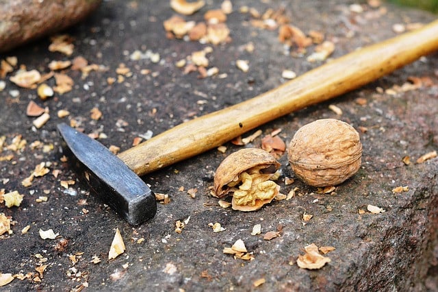nuts-1159589_640 Nüsse knacken ohne Nussknacker