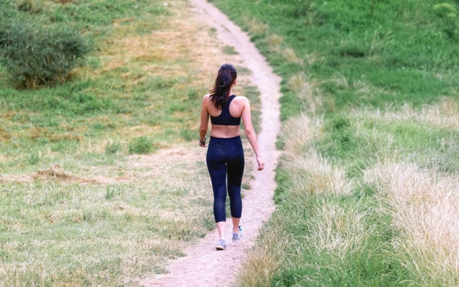 Japanese-Wiederholte-Wiedholte-Z-CC0--Pixabay-Surprising_Media-250902_Download Japanese walking includes repeated change between fast and slow walking.