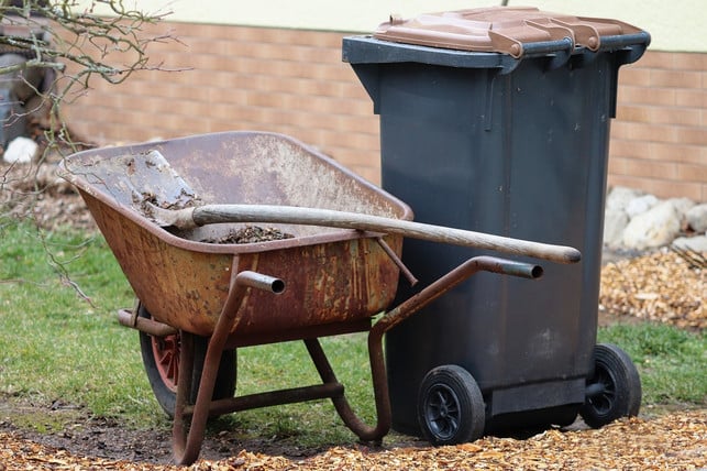 waschbaerkot-im-garten-solltest-du-ueber-den-restmuel-cc0-pixabay-manfredrichter-250114_download Waschbärkot im Garten solltest du über den Restmüll entsorgen oder verbrennen.