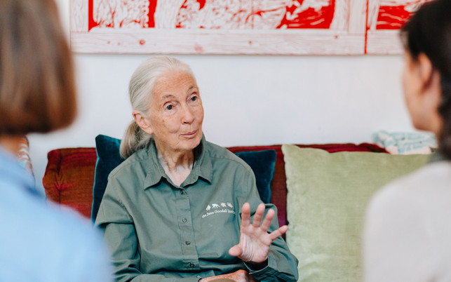 jane-goodall-4-u-190627-1280x800 Jane Goodall Interview