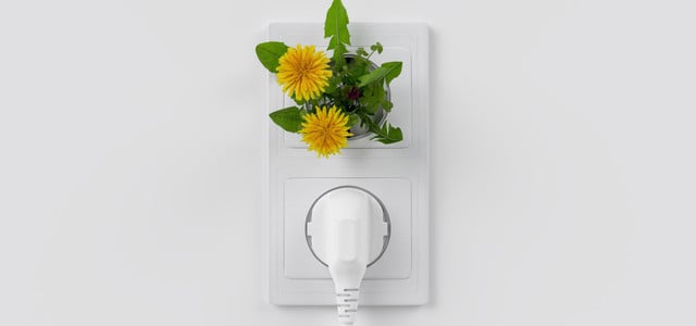 Ökostrom für Singlehaushalte