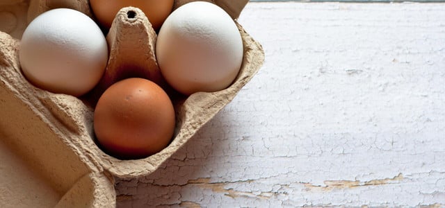Eier in den Kühlschrank