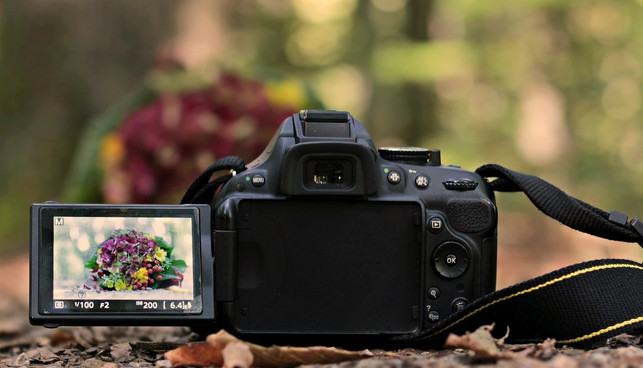baue-bereits-vorhandene-interessen-weiter-aus-um-cc0-pixabay-pixel2013-200822_download Baue bereits vorhandene Interessen weiter aus, um ein Hobby zu finden.