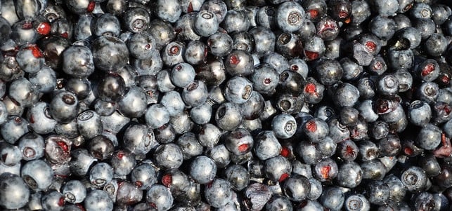 black-food-blaubeeren_pb_krzys16_170328_1280x600 Black Food