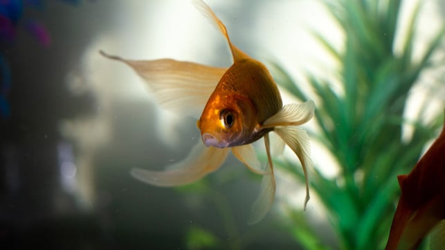 Hohe Luftfeuchtigkeit trotz Lüften: Woran kann es liegen und was hilft? Hohe Luftfeuchtigkeit trotz Lüften