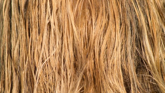 mit-nassen-haaren-schlafen-cc0-pixabay-monsterkoi-230103 mit nassen haaren schlafen