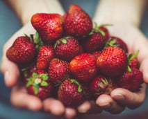 Erdbeeren haltbar machen: 5 Möglichkeiten