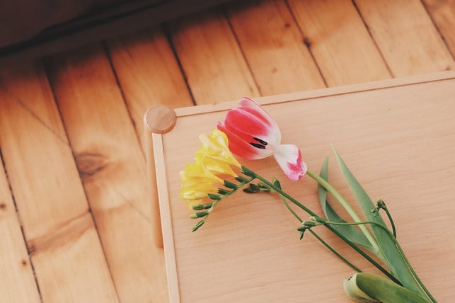du-solltest-tulpen-immer-schraeg-anschneiden-cc0-pixabay-donterase-191028_download Du solltest Tulpen immer schräg anschneiden.