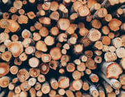 Holz entsorgen Holz