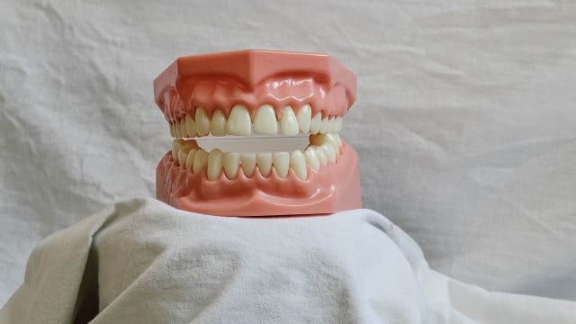 titel-cc0-pixabay-veronicatxoxo-230521 Titel