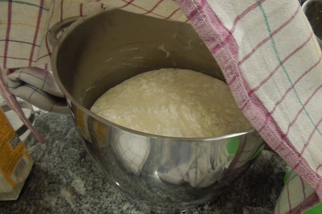 lass-den-teig-fuer-die-veganen-broetchen-zugedeckt-r-maria-hohenthalutopia-200117_download Lass den Teig für die veganen Brötchen zugedeckt ruhen.