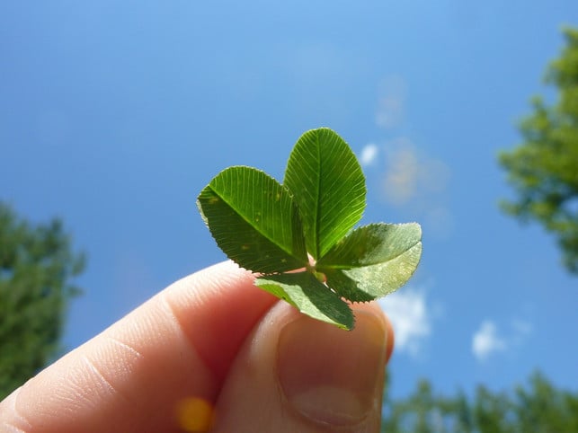 glueck-laesst-sich-laut-der-positiven-psychologie-sc-cc0-pixabay-publicdomainpictures-200630_download Glück lässt sich laut der Positiven Psychologie schon mit einfachen Übungen steigern.
