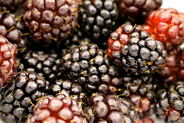 boysenbeeren-kannst-du-pur-essen-oder-zu-desserts-cc0-pixabay-misscarareads-240122_download Boysenbeeren kannst du pur essen oder zu Desserts verarbeiten.