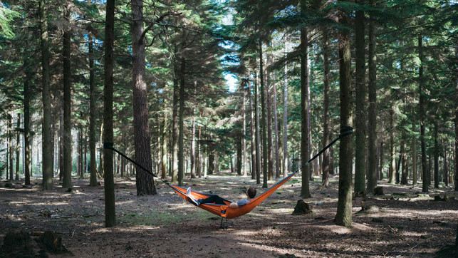 Urlaub-in-der-Region-us-1280x720 Urlaub-in-der-Region