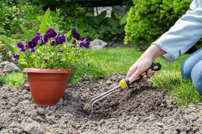 wichtiger-teil-der-garten-therapie-ist-die-bewegun-cc0-pixabay-mariakray-240514_download Wichtiger Teil der Garten-Therapie ist die Bewegung an der frischen Luft.