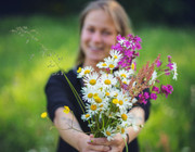 Blumen kaufen: Besser auf Fairtrade-Blumen und Bio-Blumen setzen