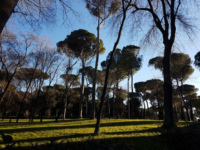 ruhe-und-entspannung-finden-reisende-und-einheimis-charlotte-gneupel-utopia-190309_download Ruhe und Entspannung finden Reisende und Einheimische in den wunderschönen Parks Roms.