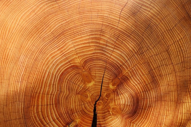 heizen-mit-holz-ist-nicht-klimaneutral-cc0-pixabay-couleur-211026_download Holz hacken: Heizen mit Holz ist nicht klimaneutral.