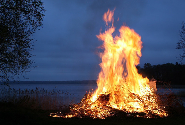 feuer-und-wasser-sind-die-elemente-des-scharfen-pi-cc0-pixabay-12019-180728_download Feuer und Wasser sind die Elemente des scharfen Pitta.