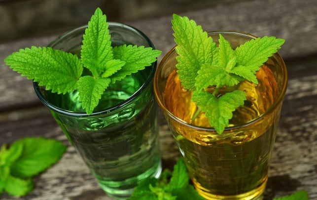 eine-leckere-erfrischung-im-sommer-sirup-mit-zitr-cc0-pixabay-congerdesign-180425_download Eine leckere Erfrischung im Sommer: Sirup mit Zitronenmelisse.