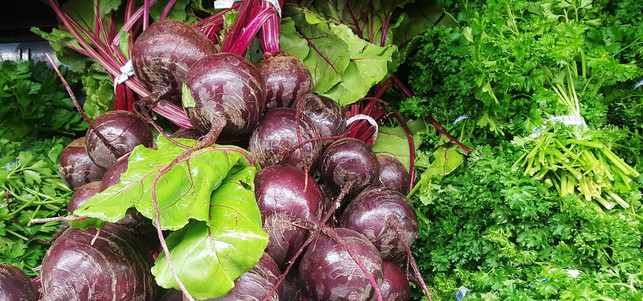 rote-bete-blaetter-cc0-pixabay-brett_hondow-180925 Rote-Bete-Blätter