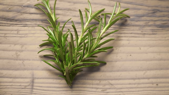 rosmarin-vermehren-cc0-pixabay-devanath-190928 rosmarin vermehren