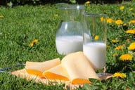 bei-milcherzeugnissen-solltest-du-besser-zum-bio-p-cc0-pixabay-myriams-fotos-181003_download Bei Milcherzeugnissen solltest du besser zum Bio-Produkt greifen.