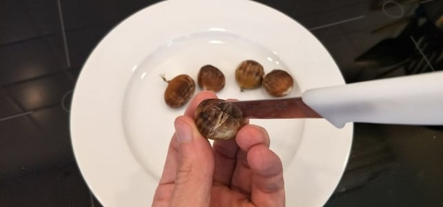 sven-christian-schulz-utopia-maronen-vor-dem-garen-anschneiden-dann-die-schale-181230_download Sven Christian Schulz / Utopia