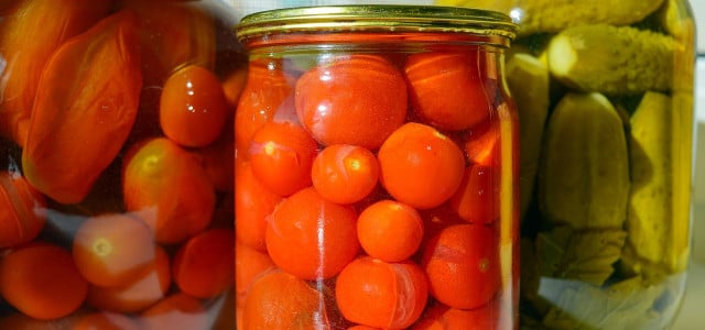 tomaten haltbar machen
