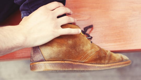 wildleder-reinigen-cc0-pixabay-life-of-pix-180830 wildleder reinigen