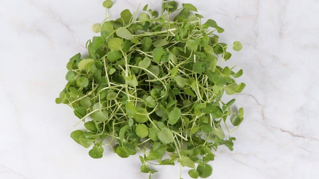 brunnenkresse-cc0-pixabay-kar0329-190428 Brunnenkresse