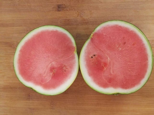 um-die-melone-zu-verarbeiten-schneidest-du-sie-zu-copyright-utopia-inke-klabunde-190628_download Um die Melone zu verarbeiten, schneidest du sie zunächst in Hälften.